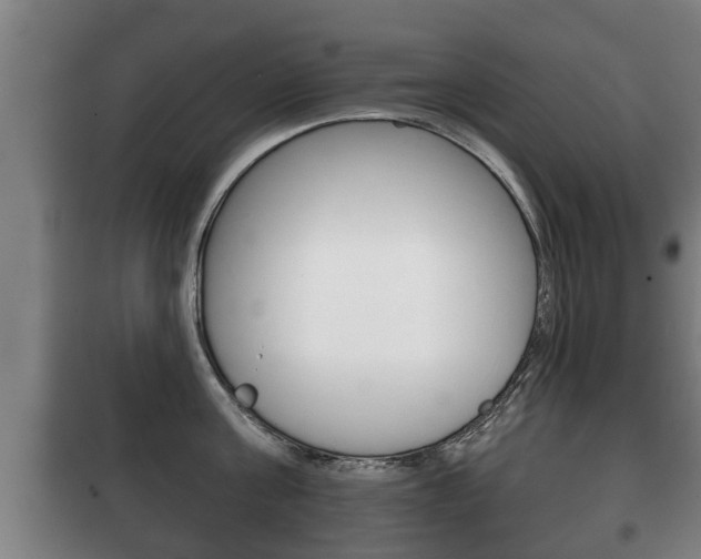 X0000100410811200806060924