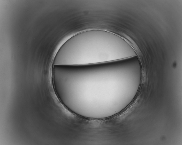 X0000100410812200806060924