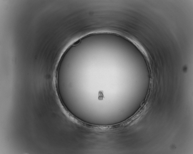 X0000100410813200806060923
