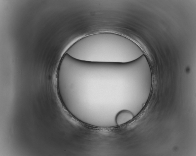 X0000100410814200806060923