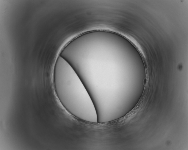X0000100410815200806060923