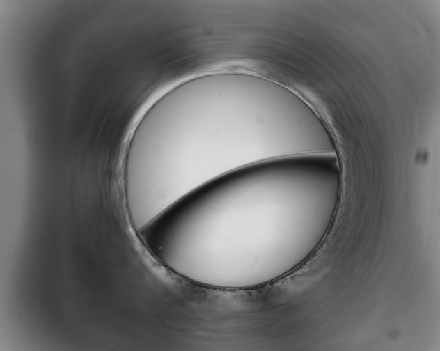 X0000100410816200806060923