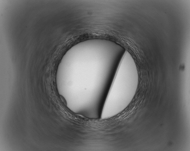 X0000100410817200806060923