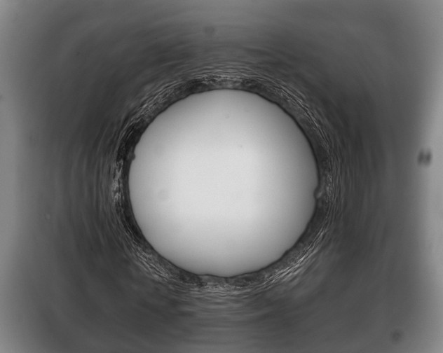 X0000100410818200806060923