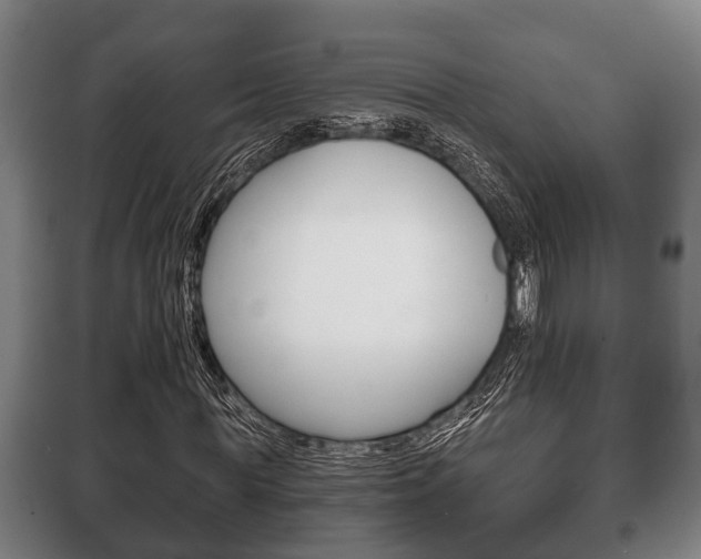 X0000100410819200806060923