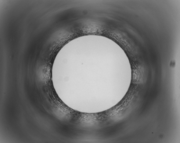 X0000100410820200806060923