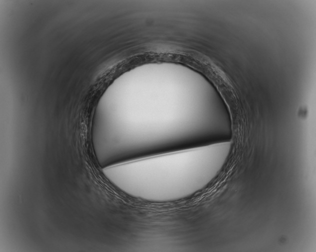 X0000100410821200806060923