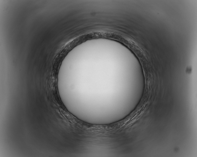 X0000100410822200806060923