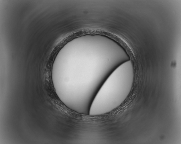 X0000100410823200806060923
