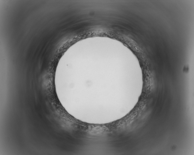 X0000100410824200806060923