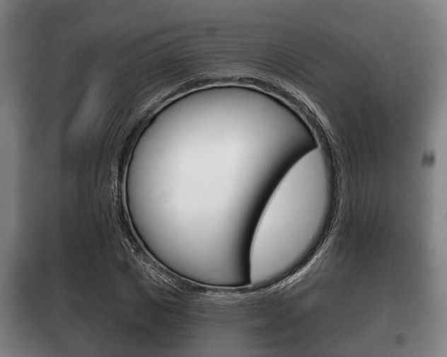 X0000100410825200806060923