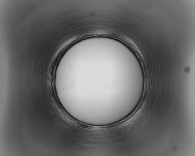 X0000100410827200806060923