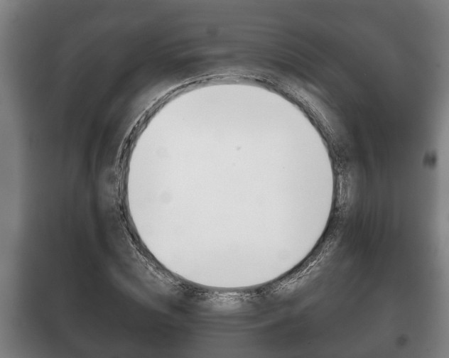 X0000100410828200806060923