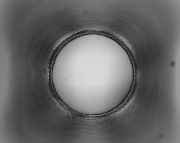 X0000100410829200806060923