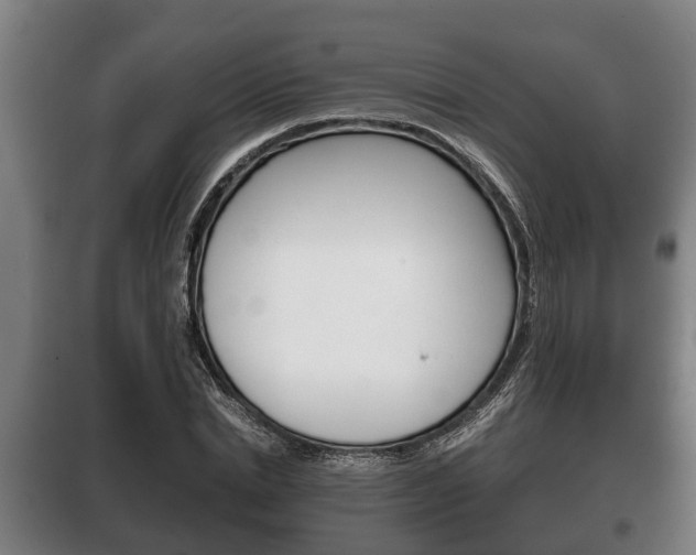 X0000100410830200806060923