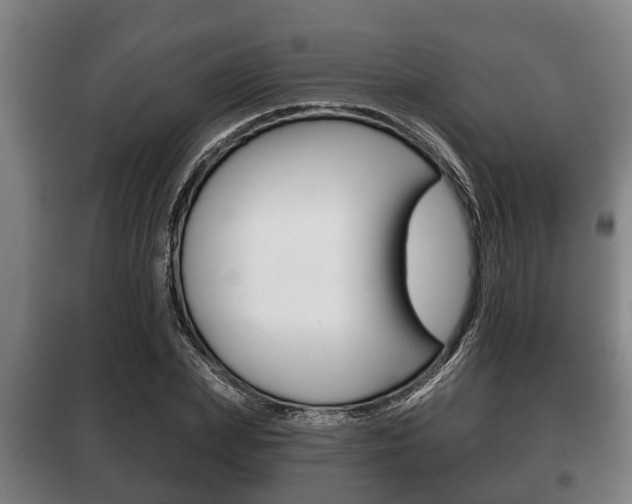 X0000100410831200806060923