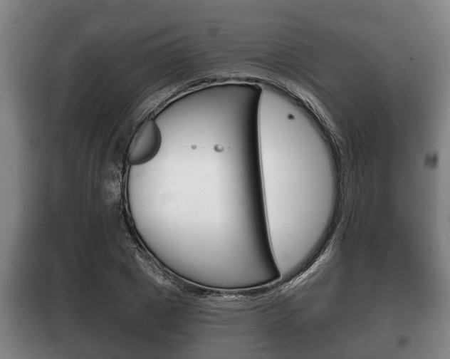 X0000100410833200806060923
