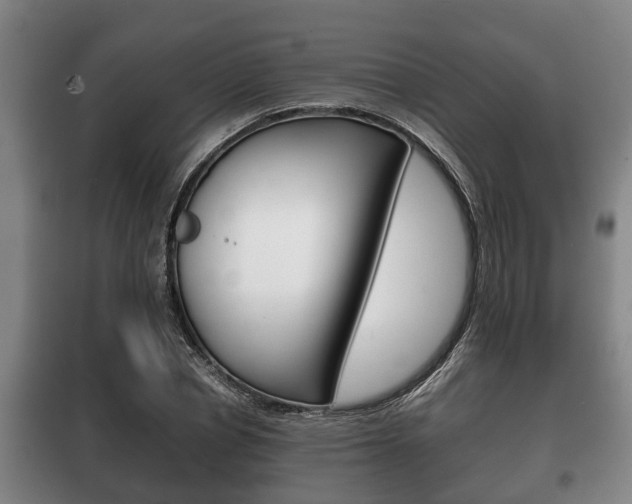 X0000100410834200806060923