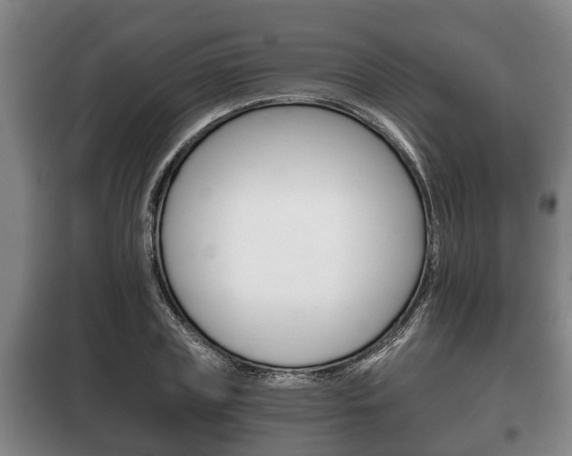 X0000100410835200806060923