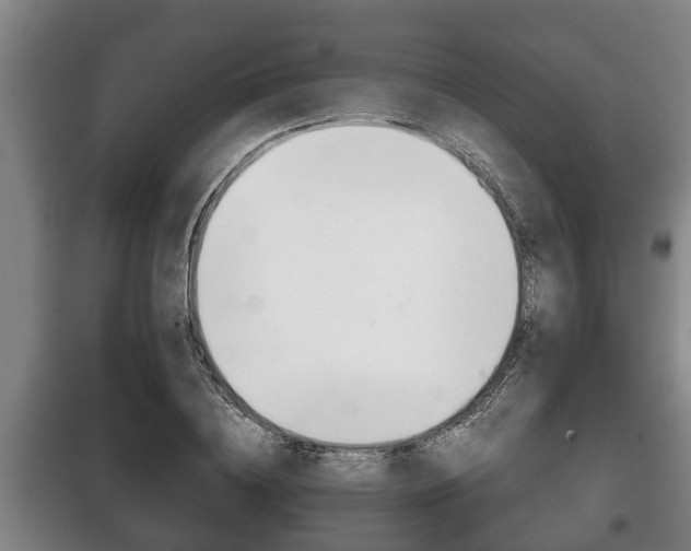 X0000100410836200806060923