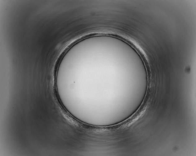 X0000100410837200806060923