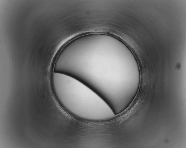 X0000100410838200806060923