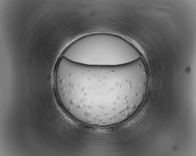 X0000100410839200806060923