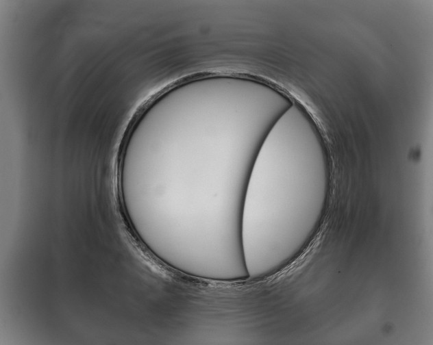 X0000100410840200806060923