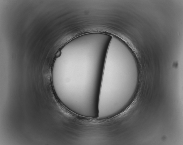 X0000100410841200806060923