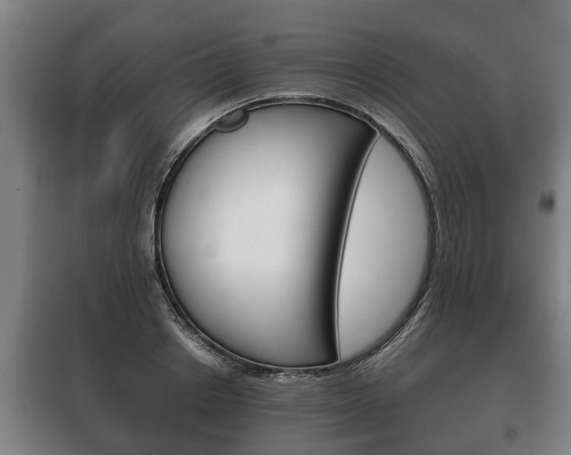 X0000100410842200806060923