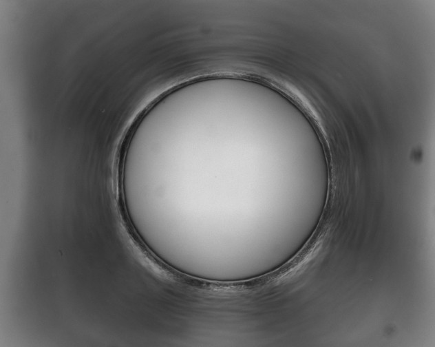 X0000100410843200806060923