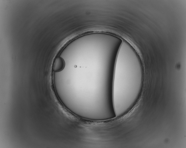 X0000100410845200806060923