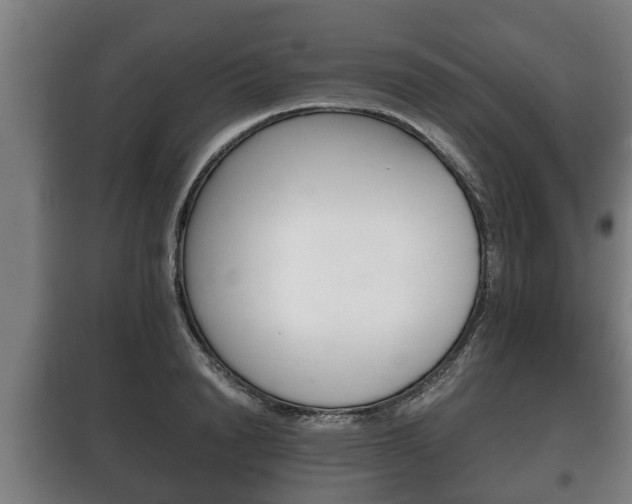 X0000100410846200806060923