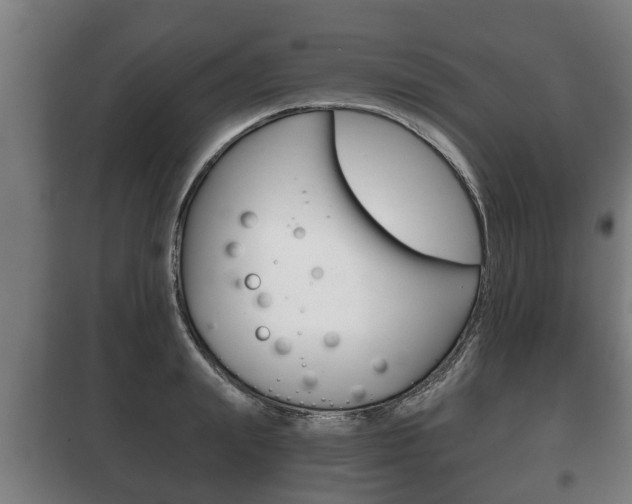 X0000100410847200806060923