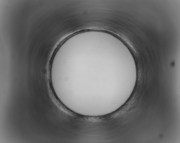 X0000100410848200806060923