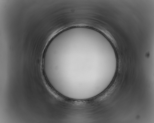 X0000100410850200806060923