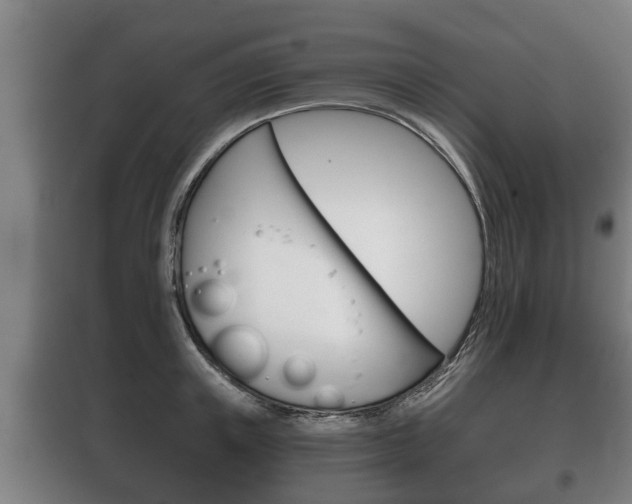 X0000100410851200806060923
