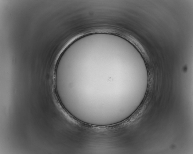 X0000100410852200806060923