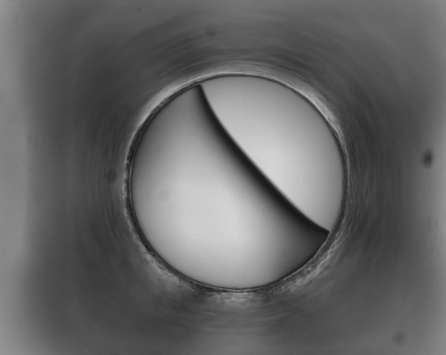 X0000100410853200806060923