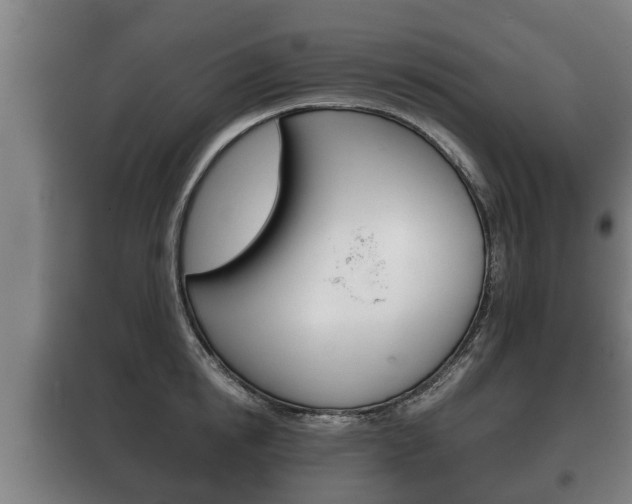 X0000100410854200806060923