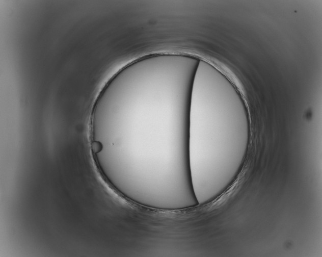 X0000100410855200806060923