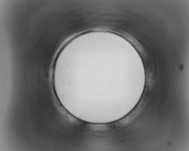 X0000100410856200806060923