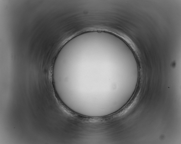 X0000100410857200806060923