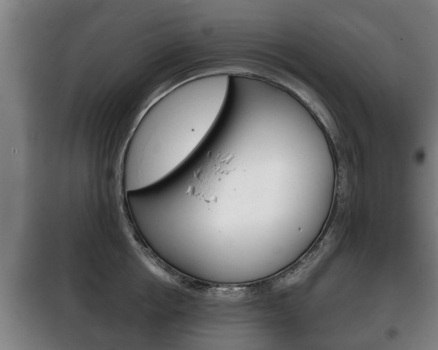 X0000100410858200806060923