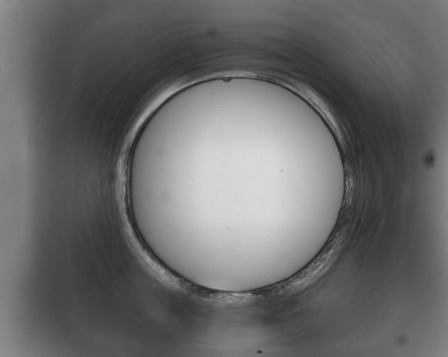 X0000100410859200806060923