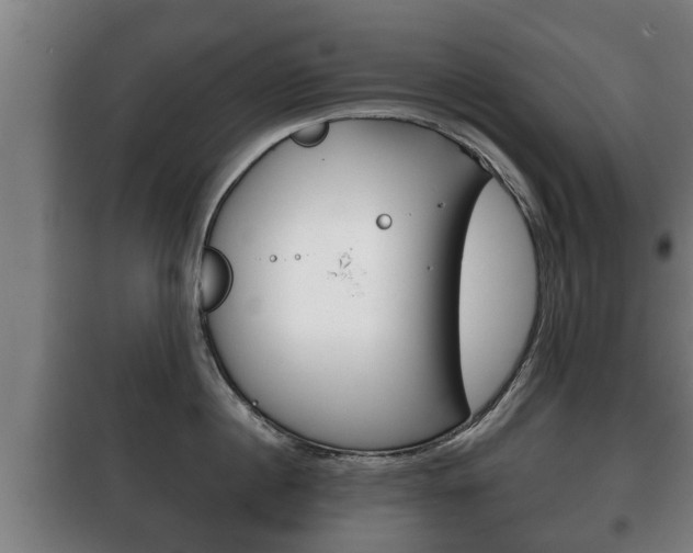 X0000100410860200806060923