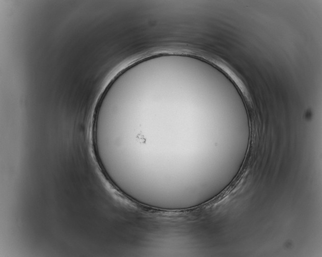 X0000100410861200806060923