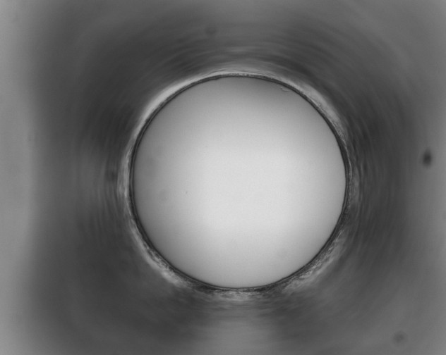 X0000100410862200806060923
