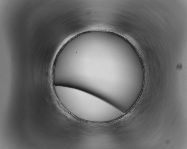 X0000100410864200806060923