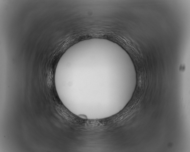 X0000100410866200806060923